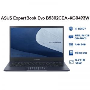 Máy tính xách tay/ Laptop Asus B5302CEA-KG0493W (i5-1135G7/2Y-PUR) (Đen)